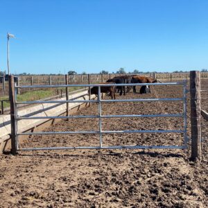 Tranquera Galvanizada 2.50 x 1.20